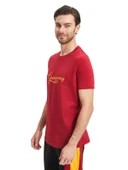 Galatasaray Orijinal Lisanslı Kırmızı Erkek T-Shirt Gs Aslan Baskılı Hediyelik Ahşap Kutulu - 5