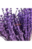 Naturel Doğal Kurutulmuş Lavanta Demeti 40-50 Cm 5 Adet - 2
