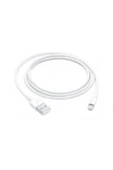 MobileGaraj Ipad Mini 2 Lightning - Usb Kablosu (1 M) thumbnail 1