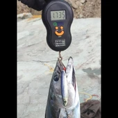 S.F. Sardalya Jig 29g - Sahte Yem Kaşık Rapala -Levrek, Palamut, Lüfer, Çinekop, Turna İçin En İyi Glow Jig Yem - 5