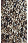 Süper Karışık Kanarya Yemi 1 Kg - 1