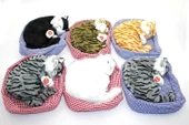 Horlayan Nesef Alıp Veren Yastıkda Uyuyan Kedi Sesli Alk3416 - 1