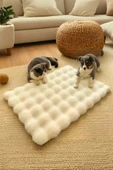 Peluş Yumuşak Yıkanabilir Bubble Kedi Yatağı - Köpek Yatağı Minder Krem - 1