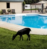 BHC METAL BAHÇE DEKORLARI - 3