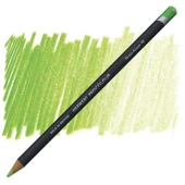 Derwent Procolour Kuru Boya Kalemi  49 Grass Green - 1