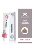 QUADDRO PROFESSİONAL QUADDRO PROFESSIONEL SAÇ BOYASI 15.17 İRİZE PLATİN - 1