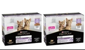 Pro Plan Pouch Sos İçinde Hindili Yavru Kedi Konservesi 85 Gr *20 Adet - 1