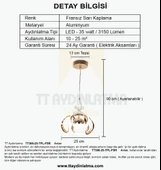 TT Aydınlatma TT306-25-TPL-FSR  Kavis 25 lik Fransız Sarı Kaplama Tek Toplu 3 Renk Modüllü Ledli Aviz - 4