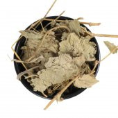 Testere Dişli Aslan Pençesi 100 Gr - 1