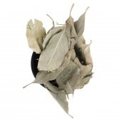 Okaliptüs Yaprağı 100 gr - 1