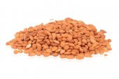 Kayısı Çekirdeği ( 500 gr ) - 3
