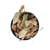 Ihlamur Çiçek Yaprak Karışık - 1