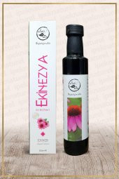 Aslı Bu Ekinezya Sıvı Ekstraktı 250 ml - 1