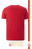 Galatasaray Orijinal Lisanslı Arma T-Shirt Gs Aslan Baskılı Hediyelik Ahşap Kutulu thumbnail 3