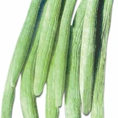 Kıtır Kıtır Yemesi Olan Geleneksel Uzun Anadolu 106 Acur Tohumu (20 tohum) thumbnail 1