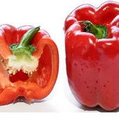 Doğal İri Kırmızı Dolmalık Biber Tohumu (20 tohum) thumbnail 1