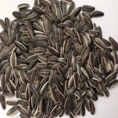 Doğal Siyah Çerezlik Çitlemelik Ayçiçeği Çekirdek Tohumu (5 KG) - 1