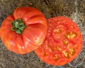 Maiden Fire Etli Beef Domates Tohumu (10 tohum) thumbnail 2