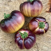 Mor Beyaz Great White Purple Domates Tohumu (15 tohum) - 1