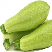 Ata Tohumları Geleneksel Kısa Sap Dolka Beyaz Kabak Tohumu (20 tohum) thumbnail 1