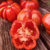 Striped Cavern Çizgili Domates Tohumu (15 tohum) thumbnail 2