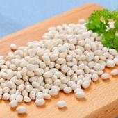 Geleneksel Kurufasulyelik Piyazlık İspir Şeker Fasulyesi Tohumu (20 tohum) thumbnail 1