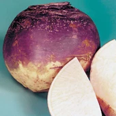 Doğal Purple Top Amrikano Şalgam Tohumu( 30 tohum) thumbnail 1