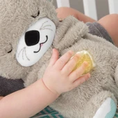 FXC66 Fisher-Price® Uyku Arkadaşı Su Samuru - 2