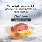 Gofrette Biftekli Yetişkin Köpek Maması 15 Kg - 2