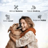 Gofrette Biftekli Yetişkin Köpek Maması 15 Kg - 3