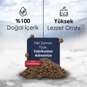 Gofrette Tavuklu Yetişkin Kedi Maması 10 Kg - 3