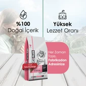 CatPlus Tavuklu Hamsili Yavru Kedi Maması 1,5 Kg - 3