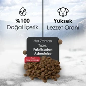 Gofrette Biftekli Yetişkin Köpek Maması 15 Kg - 4