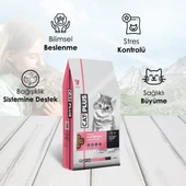 CatPlus Tavuklu Hamsili Yavru Kedi Maması 1,5 Kg - 9