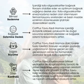 CatPlus Tavuklu Hamsili Yavru Kedi Maması 1,5 Kg x 3 Adet - 5