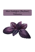 Reyhan Tohumu 1 Paket (3gr=100+ Adet) Mor Reyhan Tohumu Mor Fesleğen Tohumu - 4