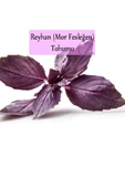 Reyhan Tohumu 1 Paket (3gr=100+ Adet) Mor Reyhan Tohumu Mor Fesleğen Tohumu - 3