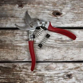 Tüm Ağaç Meyve Bahçe Bitki Çiçek Budama Makası Yedek Yaylı Paslanmaz Çelik Ağız Bağ Makası thumbnail 1