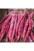 Barbunya Tohumu 1 Paket Barbunya Fasulyesi Tohumu Kapalı Paket Tohum Barbunye Ekmelik - 2