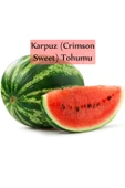 Karpuz Tohumu 1 Paket Crimson Sweet Karpuz Tohumu Ekmeye Uygun Verimi Yüksek Paket Tohum - 3