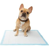 Only One Kedi Köpek Çiş Pedi 60x90 cm Yatak Koruyucu 30'lu paket - 1