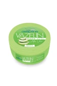 Cire Aceptine 4 Adet Vazelin Aloe Vera 150 ml - 2