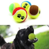 3lü Renkli Desenli Tenis Topu Kedi Köpek Oyuncağı - 3