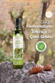 Zühre Ana Çam Sirkesi Doğal Fermantasyon 500 Ml - 4