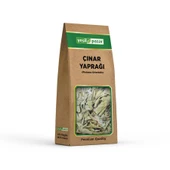 Yeşil Pazar Çınar Yaprağı 20 gr - 1