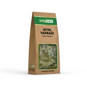 Yeşil Pazar Ayva Yaprağı 22 gr - 1