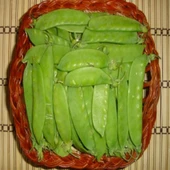 Ata Tohumu Geleneksel Yaprak Bezelye Tohumu (20 tohum) - 1