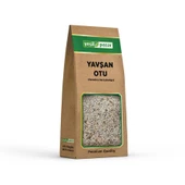 Yeşil Pazar Yavşan Otu 50 gr - 1