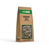 Yeşil Pazar Yoğurt Otu 22 gr - 1