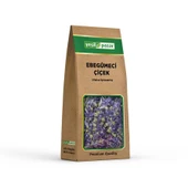 Yeşil Pazar Ebegümeci Çiçek 24 gr - 1
